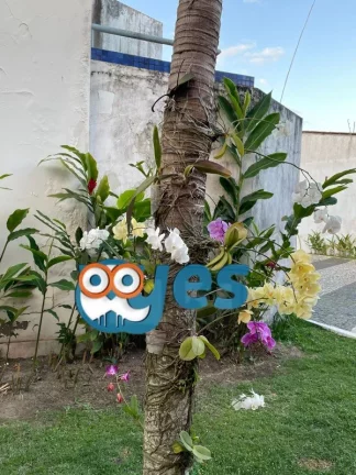 Imagem Casa Duplex para locação na Santa Mônica