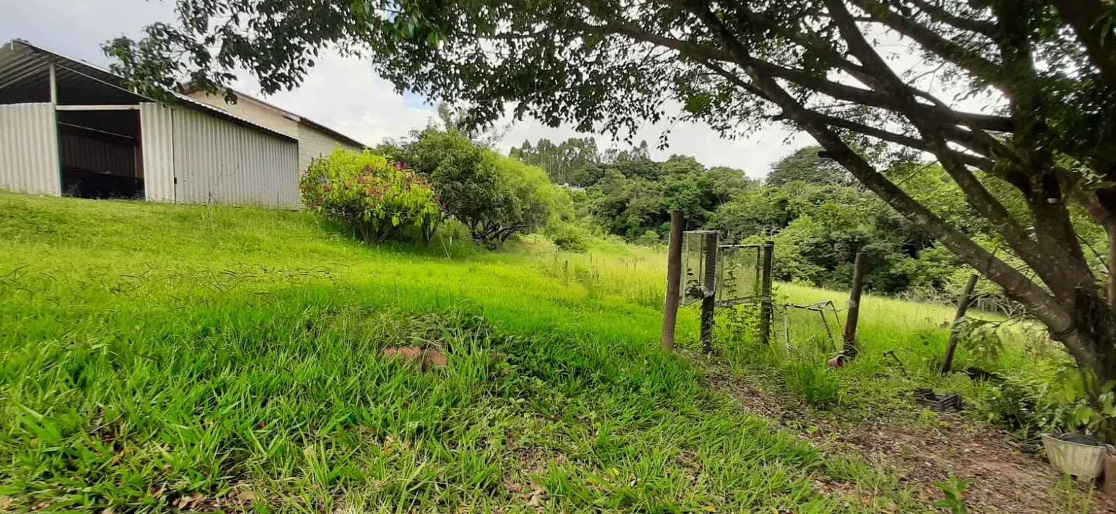 Imagem Chácara à venda em Araçoiaba da Serra - 4 quartos, 1 suíte, 3 banheiros, 3 vagas - Imperdível!