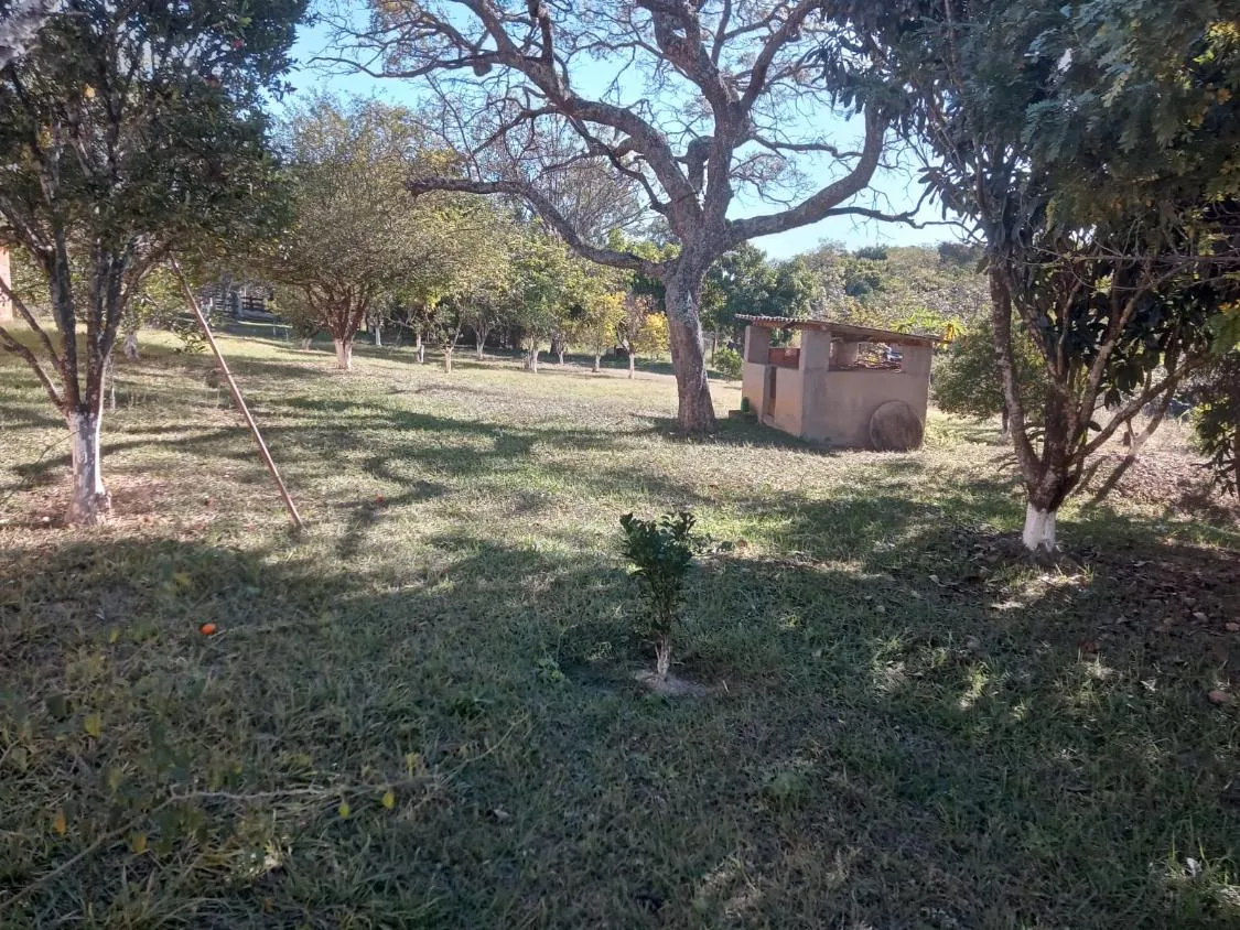 Imagem Vendo um excelente sítio na cidade de Piracema/Mg com 5 hectares de terra