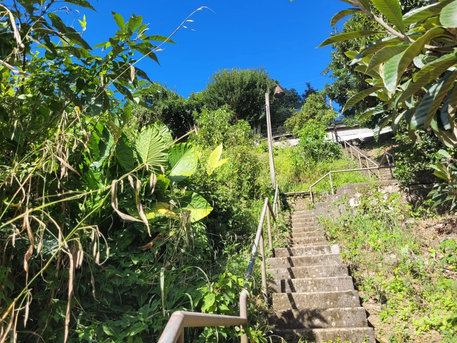 Imagem Lote à venda em Gramado, Piratini, 426m2
