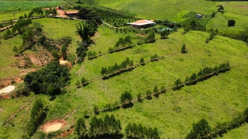 Imagem Vende-se Maravilhoso Sítio em Entre Rios de Minas - com 10 hectares de terra