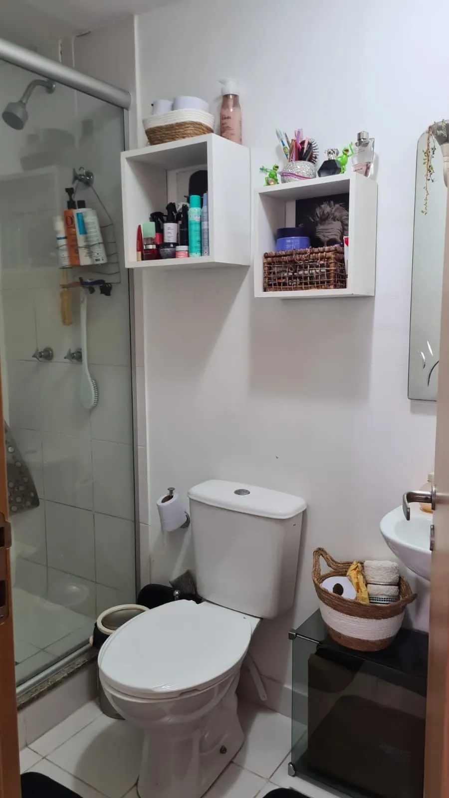 Imagem Apartamento 2 Dormitórios Jardim Carvalho