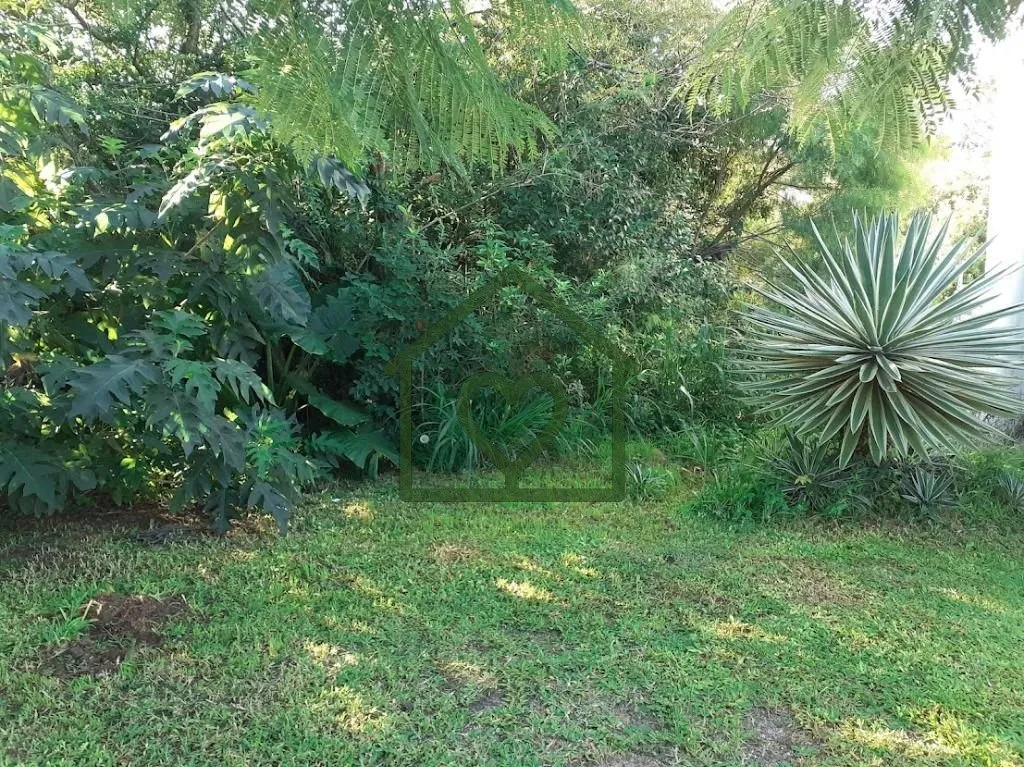 Imagem ótimo terreno, desocupado, pronto para construir, rua sem saída, local calmo, próximo a todos os ...
