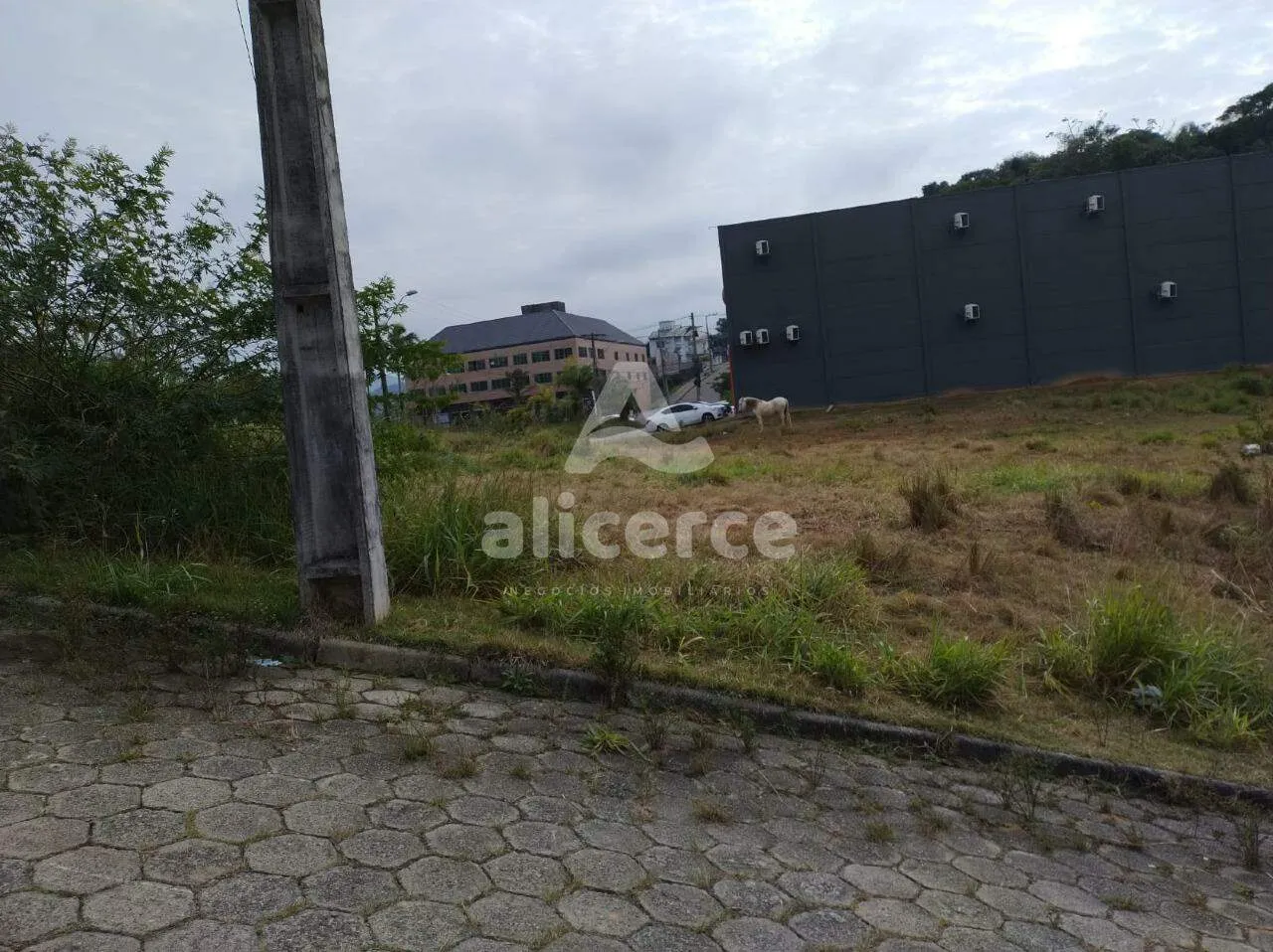 Imagem Terrenos planos, prontos pra construir em Forquilhas - São José - SC