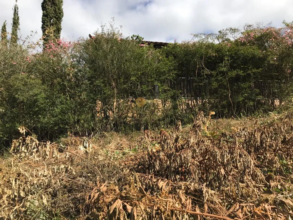 Imagem Terreno em Condomínio para Venda em Teresópolis / RJ no bairro Vargem Grande