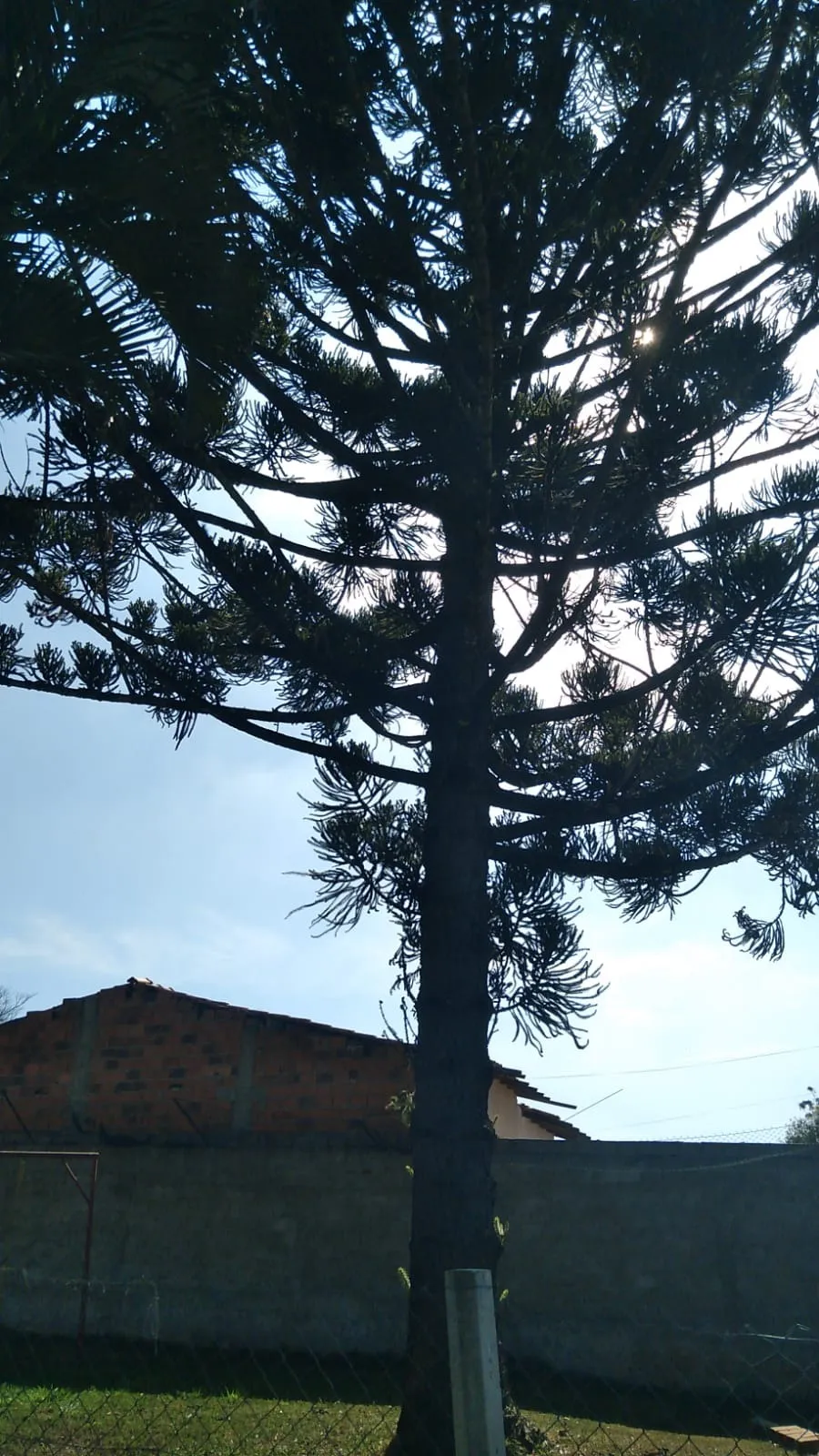 Imagem Chacara com 3 Suítes Colinas 1 Araçoiaba da Serra / SP