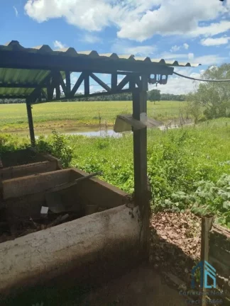 Imagem Fazenda/Sítio com 6 alqueires entre Ituaçu e Itaberaí 7 km de chão em Itaberaí em Goiânia GO