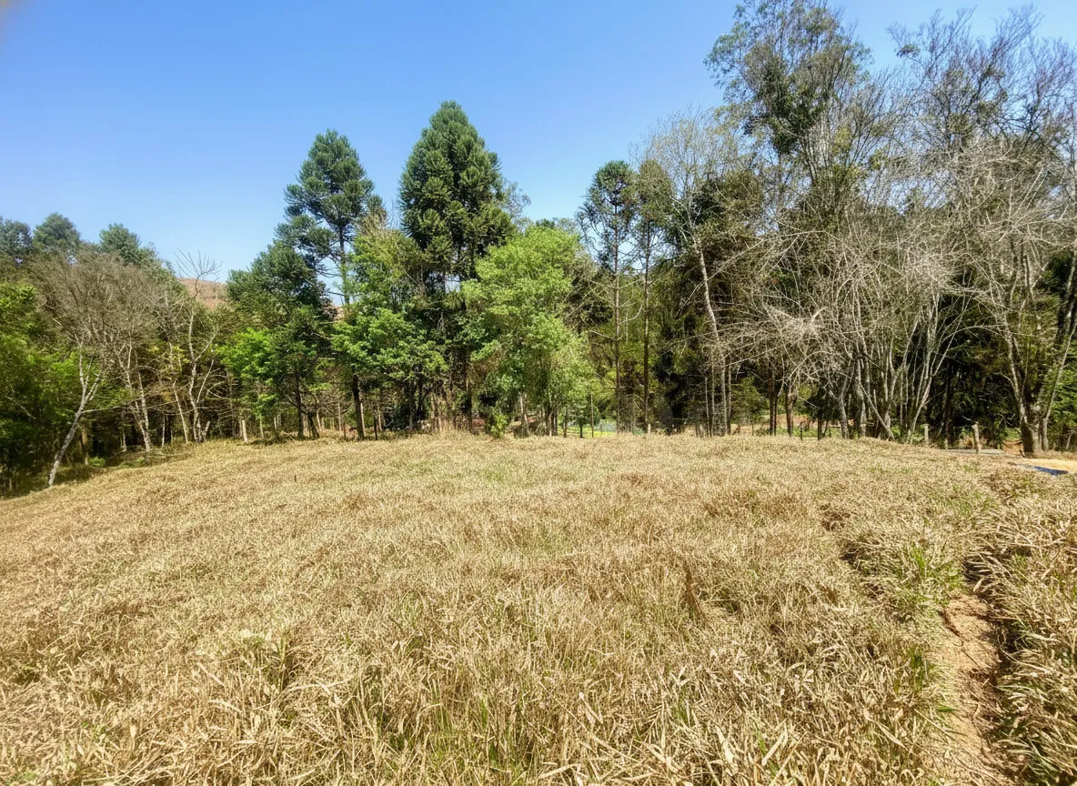 Imagem Sítio 2,42 ha à venda em Correias, Bandeira do Sul