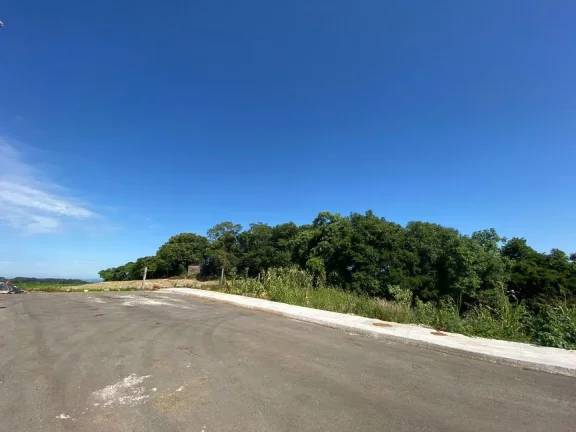 Imagem Terreno para Venda em Concórdia, Rural