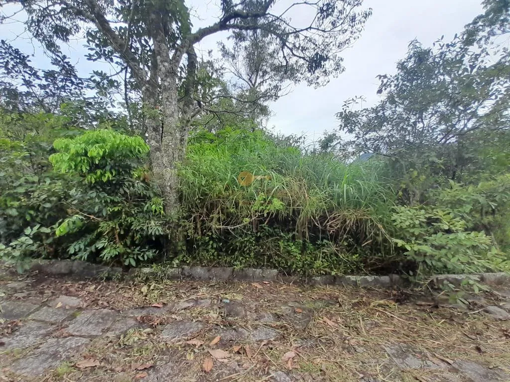 Imagem Terreno para Venda em Teresópolis / RJ no bairro Colônia Alpina