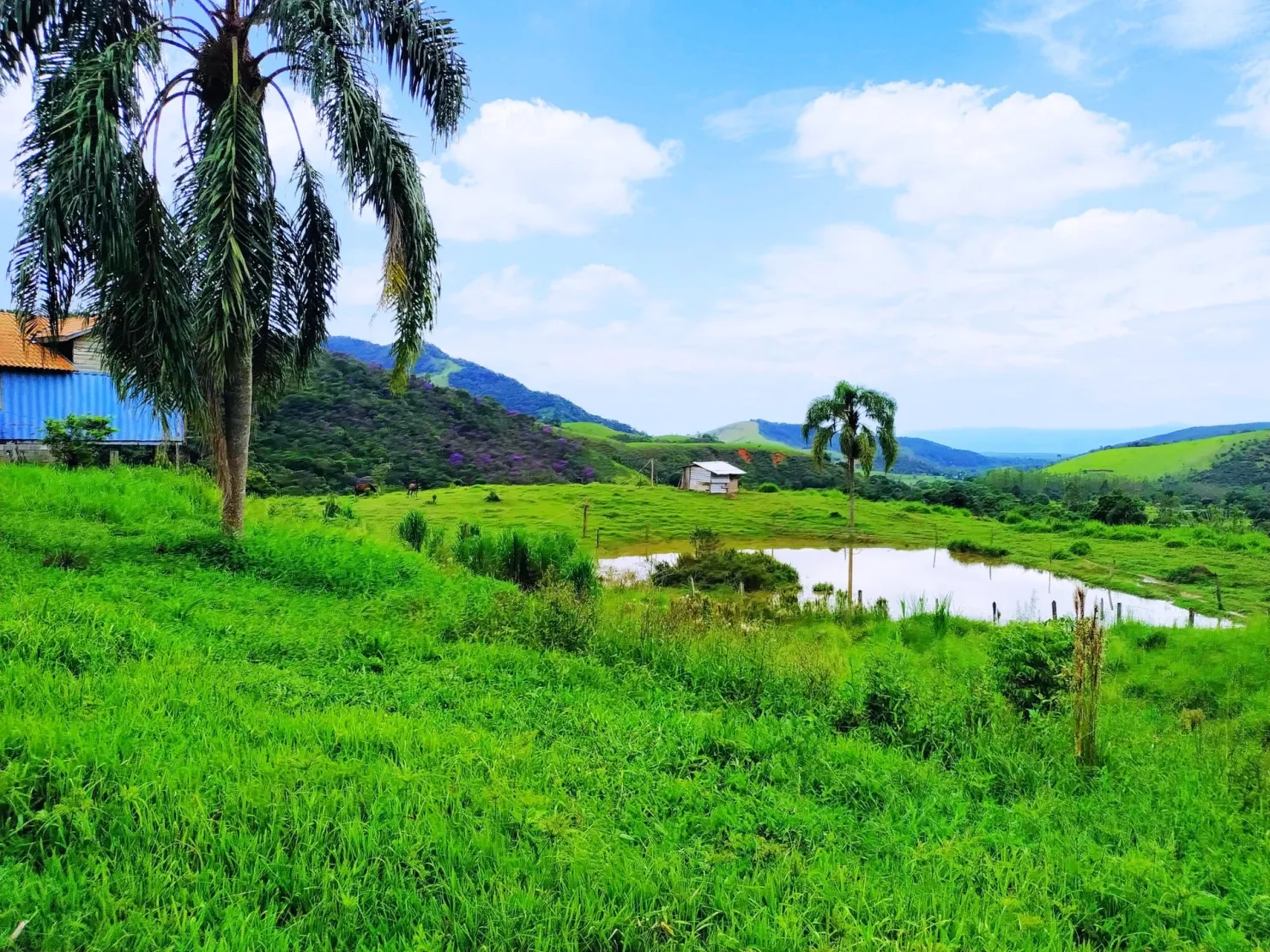Foto do imóvel Chácara à venda 76000M², Ribeirão Grande, Pindamonhangaba - SP