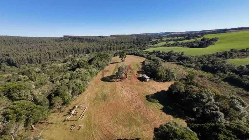 Imagem Sítio à venda com excelentes 24,62ha de área em Guarpuava PR