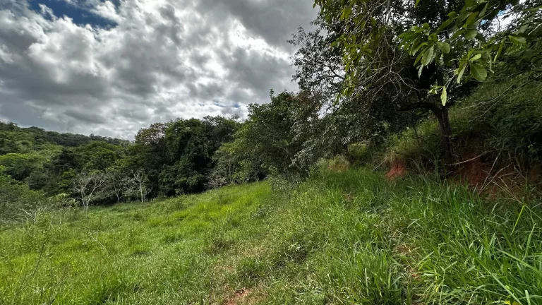Foto do imóvel Terreno de aproximadamente 47 hectares no Periquito MG em Santa Cruz Baixio