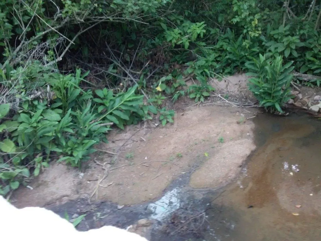 Imagem Terreno em Vila Nova
