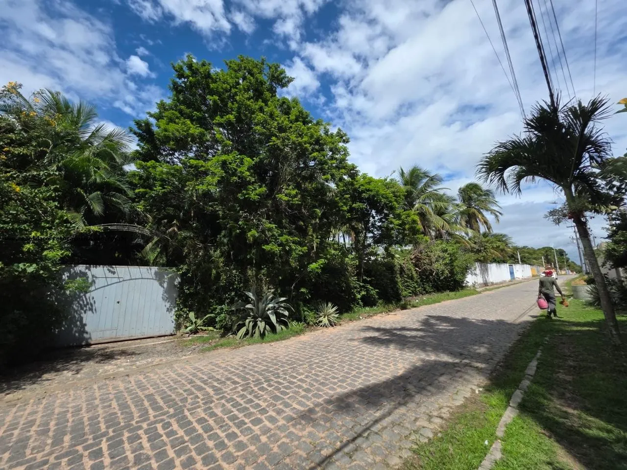 Imagem Granja para Venda em Macaíba, Zona de Expansão Urbana Sul, 2 dormitórios, 1 suíte, 2 banheiros, 5 vagas