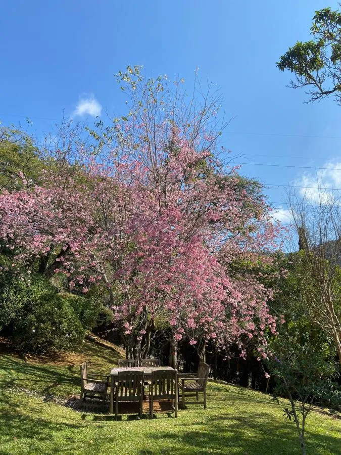 Imagem Casa para Venda em Petrópolis / RJ no bairro Araras