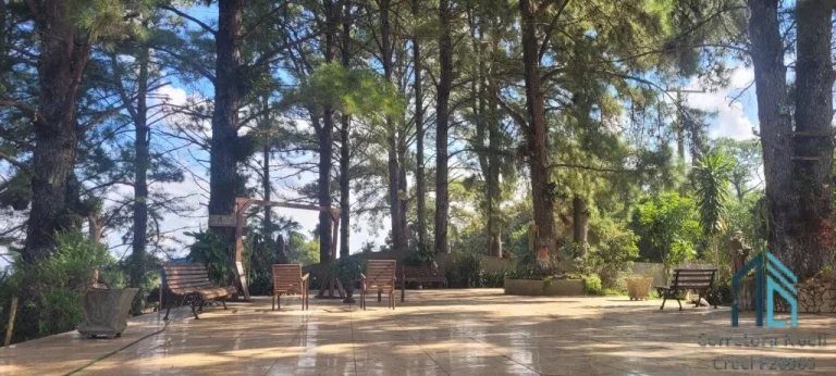 Imagem Chácara LINDA com 3 casas a venda 9.000m2, bem localizada em Contenda - PR