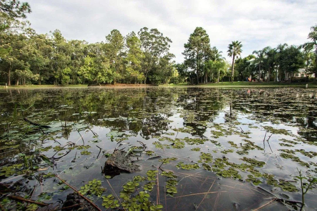 Imagem Terreno plano de 1000m² está localizado no conceituado condomínio Terra Ville
