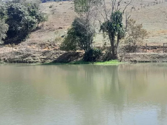Imagem Terreno incrível para criação de animais e plantio