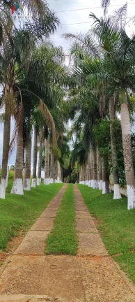 Imagem Sítio região Itapetininga SP
