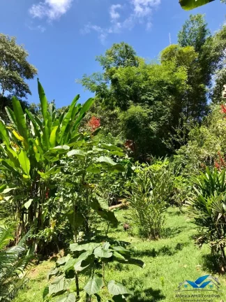 Imagem Lindo sitio com 2 casas meio a natureza - Paraty - com rio passando pelo terreno