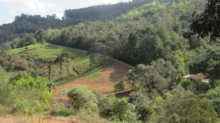 Imagem Área Agrícola para Venda em Lindóia do Sul, Interior