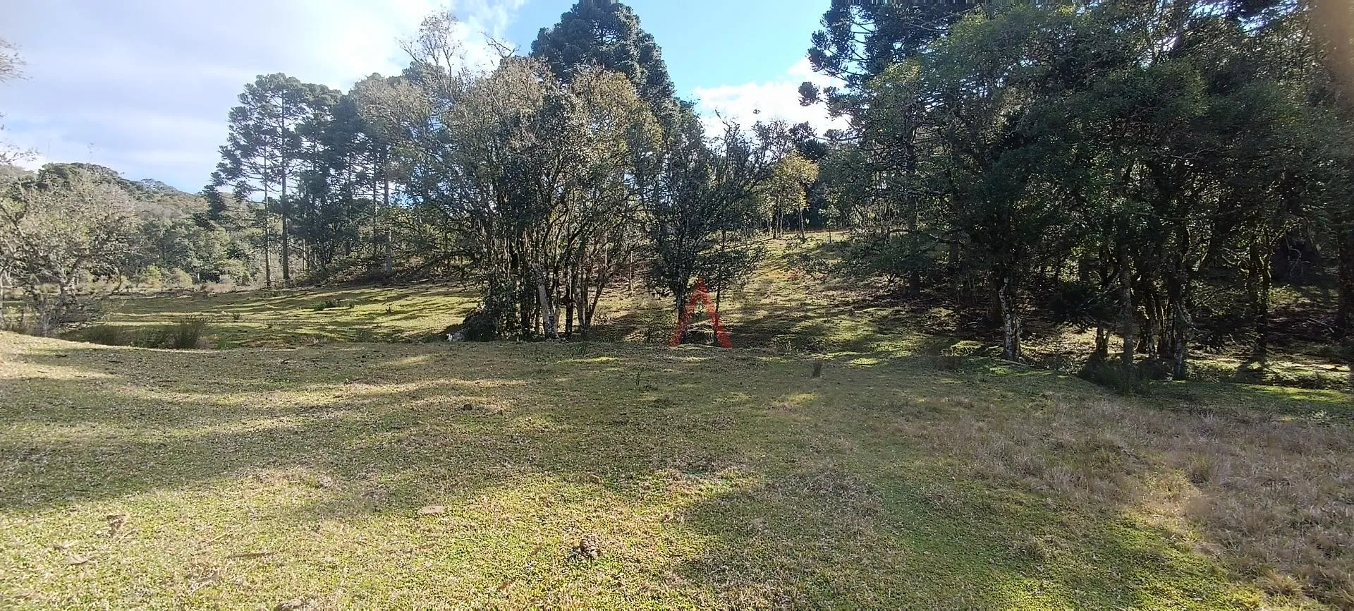 Imagem Chácara à venda com 12,5884 hectares, PALMEIRINHA, GUARAPUAVA - PR