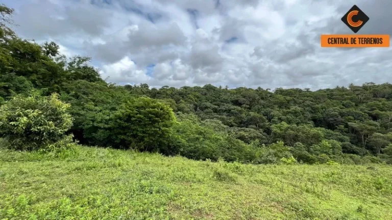 Imagem SÍTIO EM CAJAZEIRAS DE ABRANTES