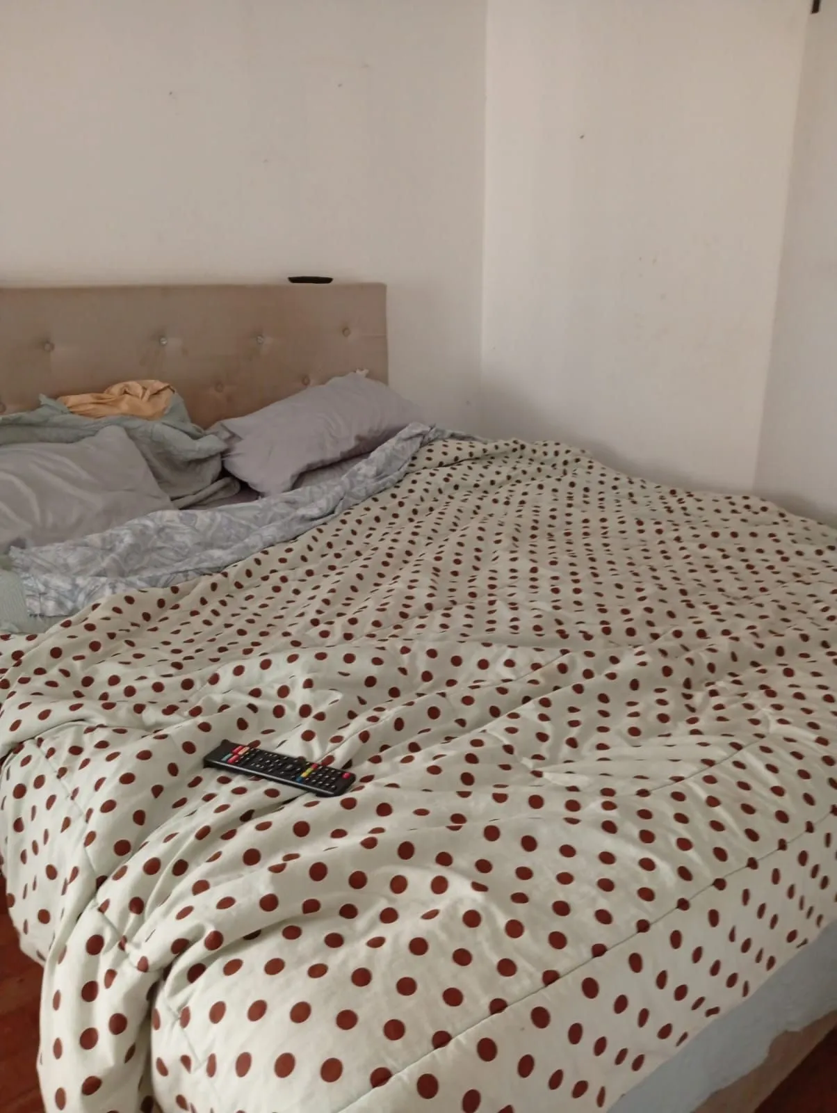 Imagem Casa 3 dormitórios à venda Centro Histórico Porto Alegre/RS