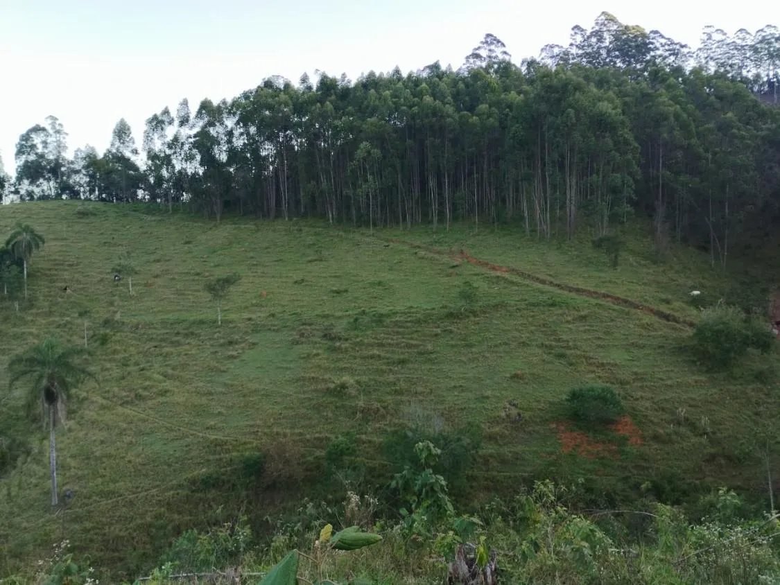 Imagem 4 Alqueires à Venda em Piracaia ? Ótima Localização!