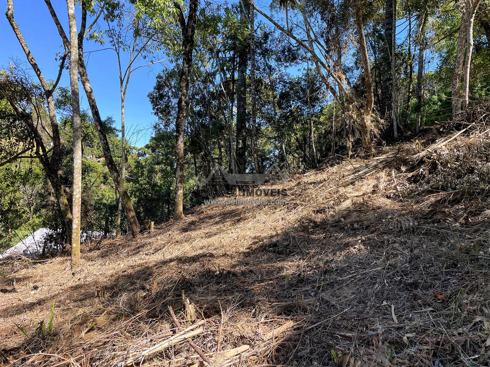 Imagem Terreno à venda em Campos do Jordão - Excelente opção para investimento