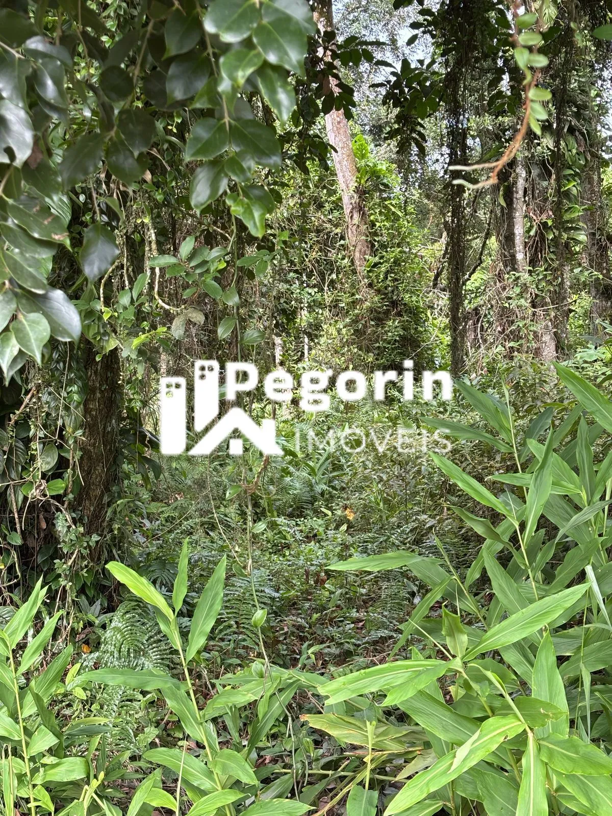 Imagem Terreno em Balneário Brandalize, Itapoá/SC