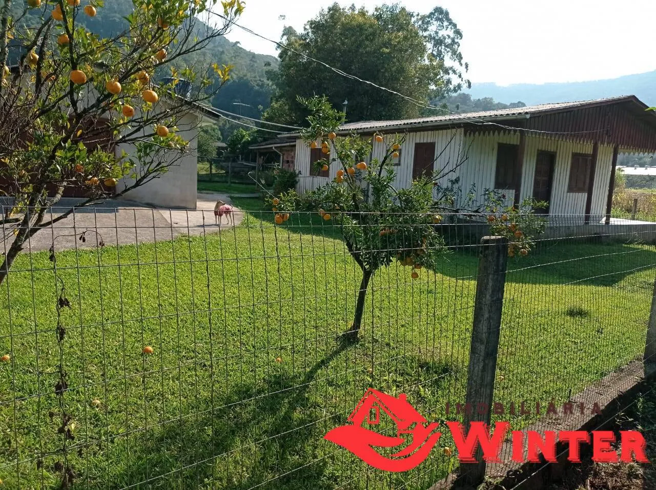 Imagem Ótimo terreno com 2.000,00m² as margens da RS 452 em Bom Princípio.