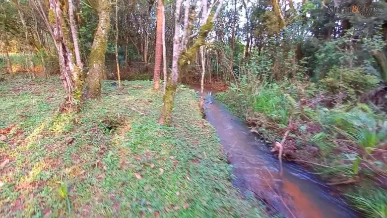 Imagem Chácara para Venda em Tijucas do Sul, Ambrósio