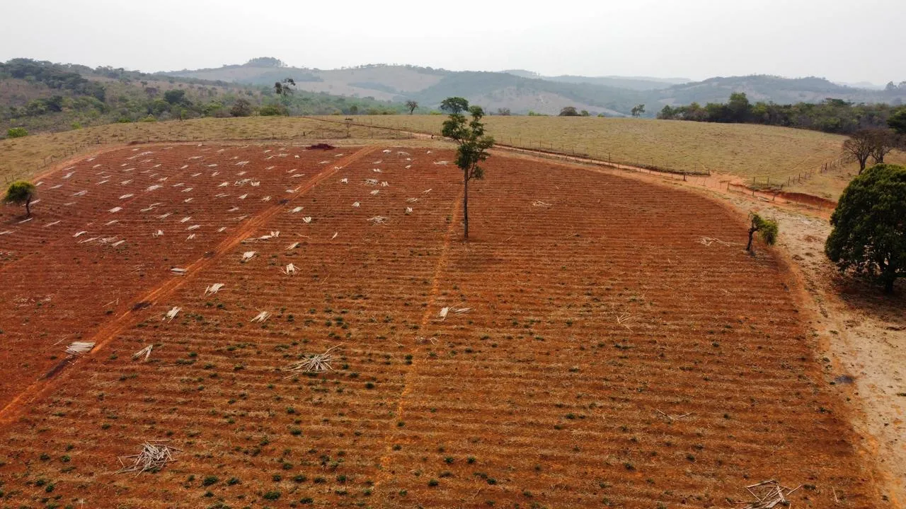 Imagem FAZENDINHA À VENDA - PASSA TEMPO (MG) 51 hectares de terra