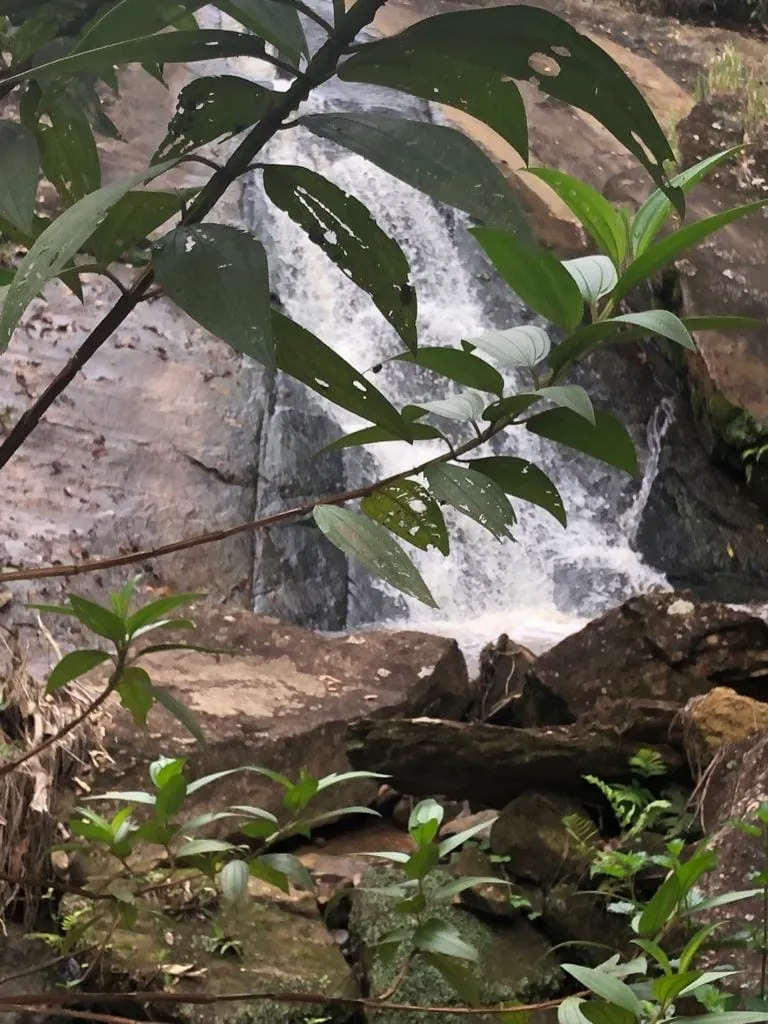Imagem Chácara à venda 1 Quarto, 57596M², Pinga, Pindamonhangaba - SP