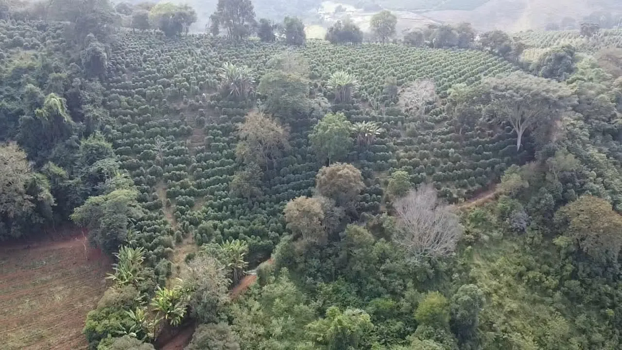 Imagem Sítio 3,63 ha à venda em Primos, Campestre
