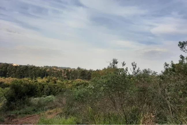 Imagem Terreno/Lote Residencial para venda no bairro São Lucas em Viamão
