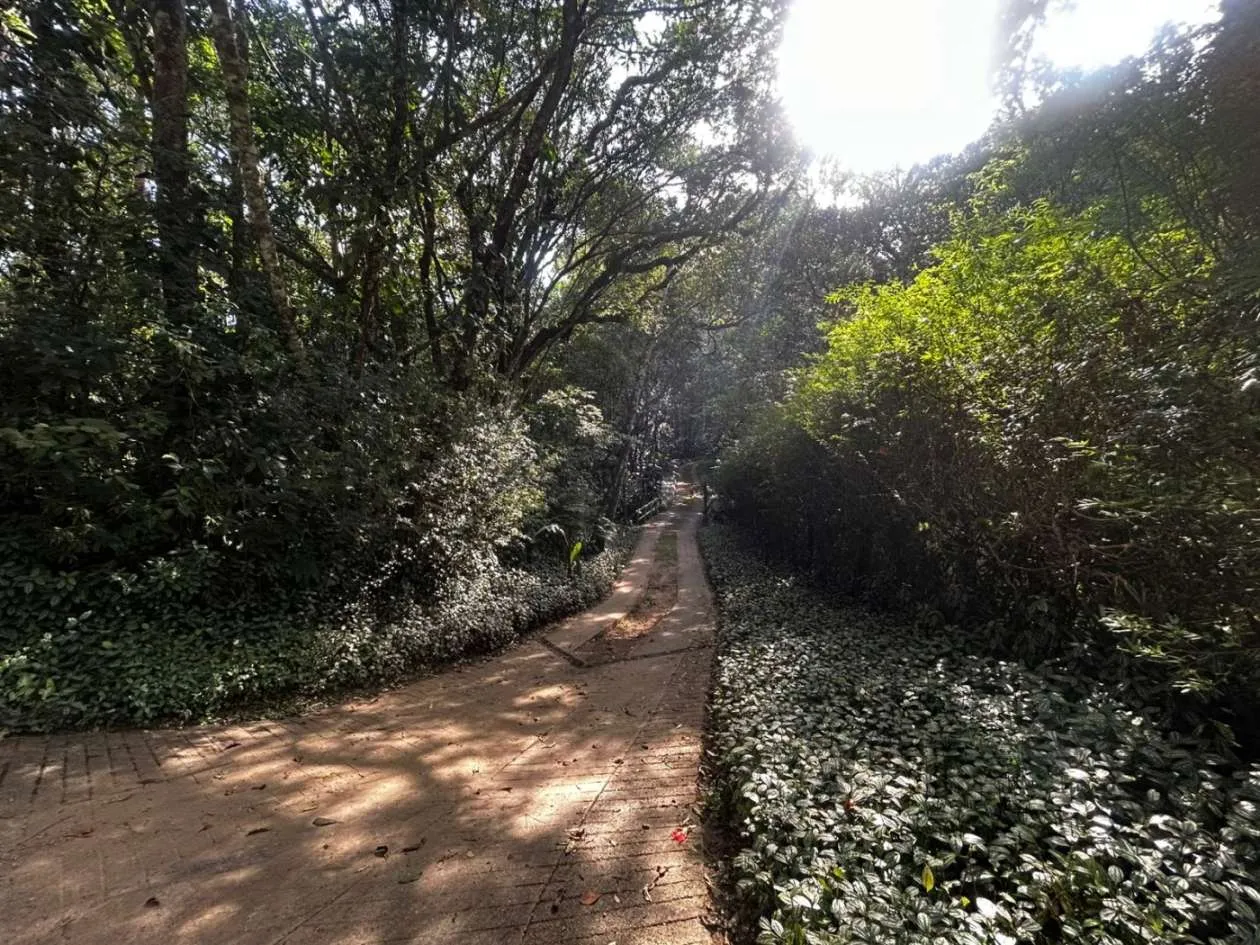 Imagem Casa para Venda em Petrópolis / RJ no bairro Fazenda Inglesa