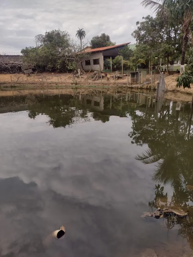Foto do imóvel Vendo um ótimo sítio em São Joaquim de Bicas com 5.600 m²