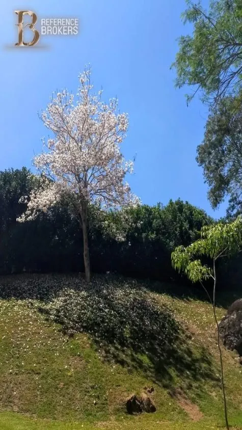 Imagem SÍTIO- PARQUE DAS LARANJEIRAS
