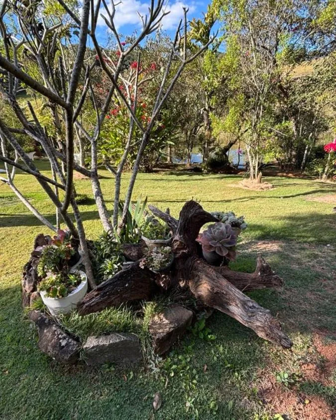 Imagem "vendo 6 Hectares de Sossego em Entre Rios de Minas"