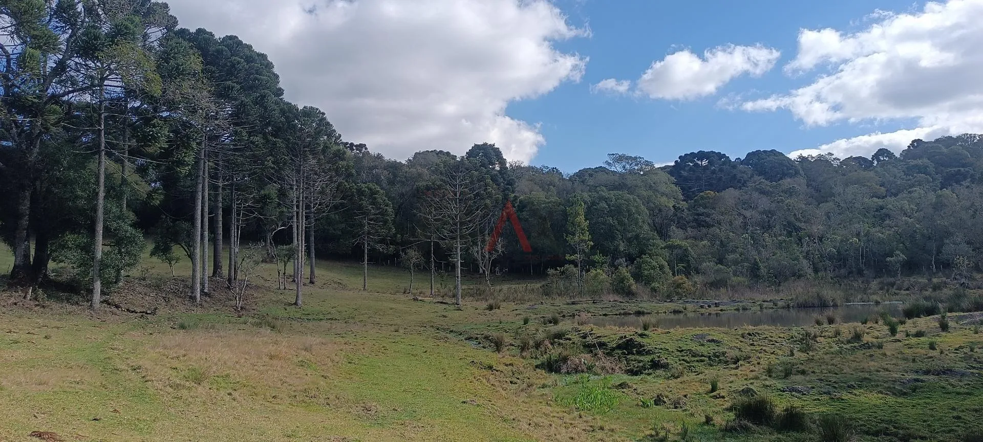 Imagem Chácara à venda com 12,5884 hectares, PALMEIRINHA, GUARAPUAVA - PR