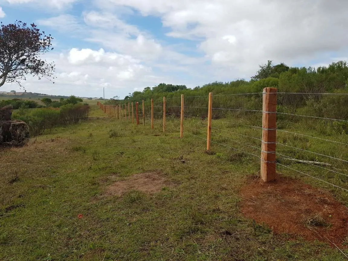 Imagem Sítio para Venda em Pedro Osório, Brasileiras