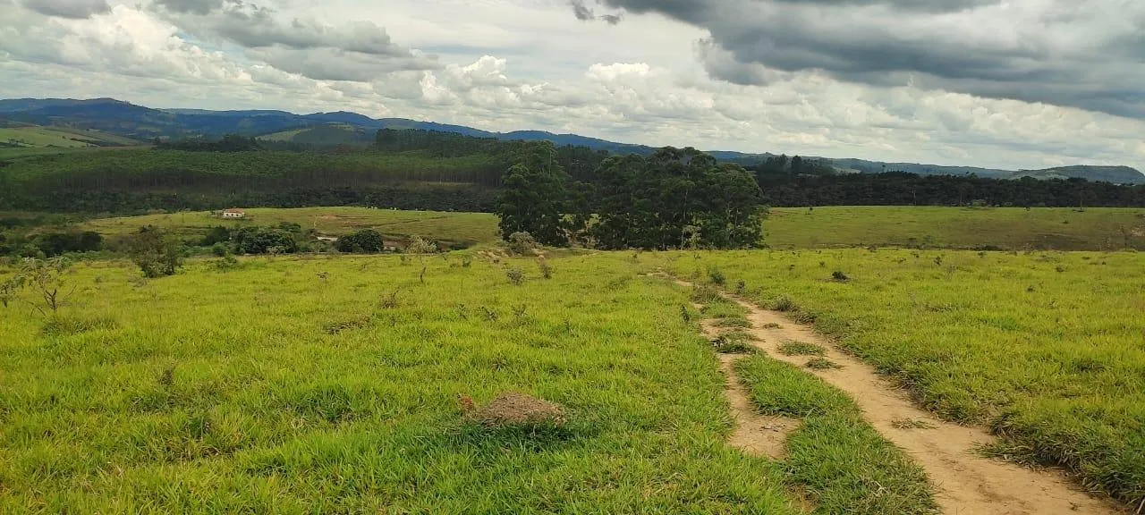 Imagem endo uma excelente fazenda em Desterro de Entre Rios com 277 hectares de terra