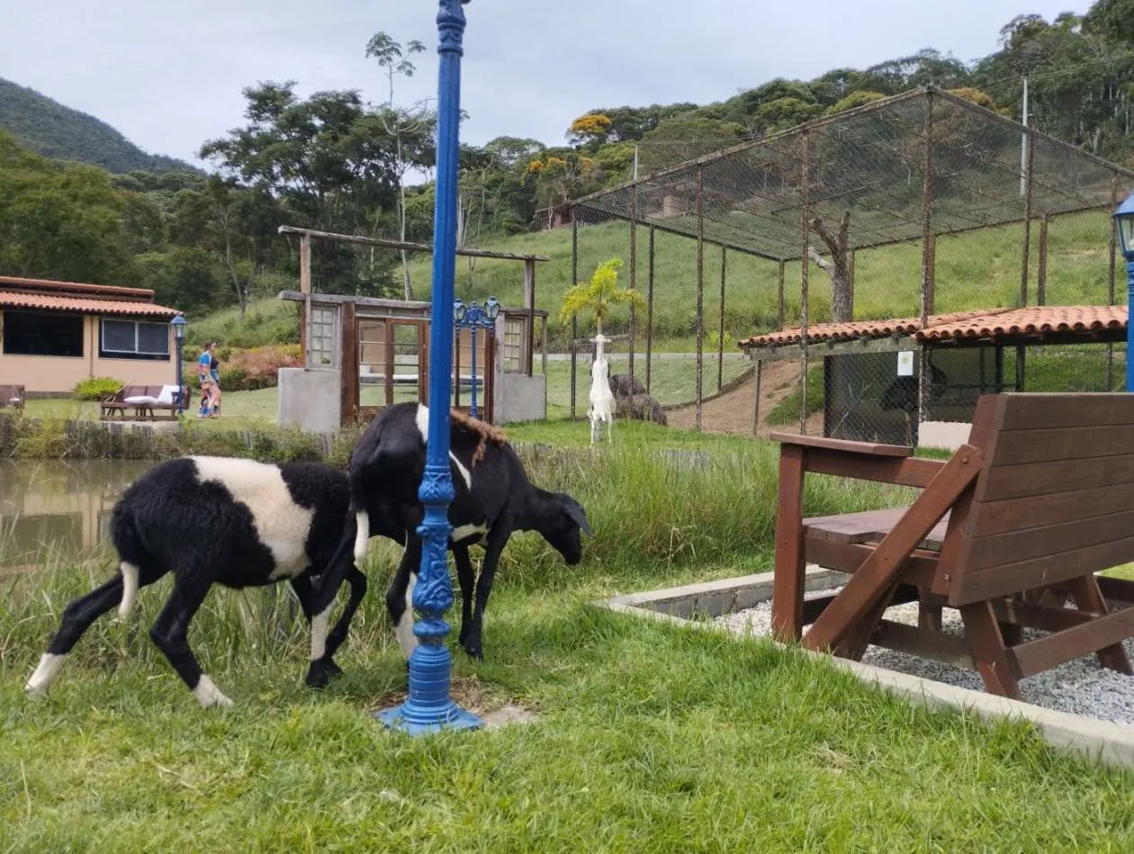 Imagem Terreno em Condomínio para Venda em Teresópolis / RJ no bairro Fazenda Alpina