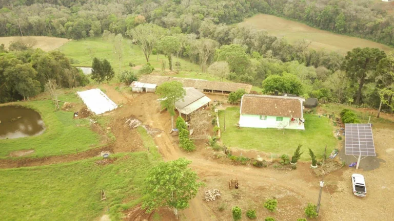Imagem Área Agrícola para Venda em Concórdia, Rural