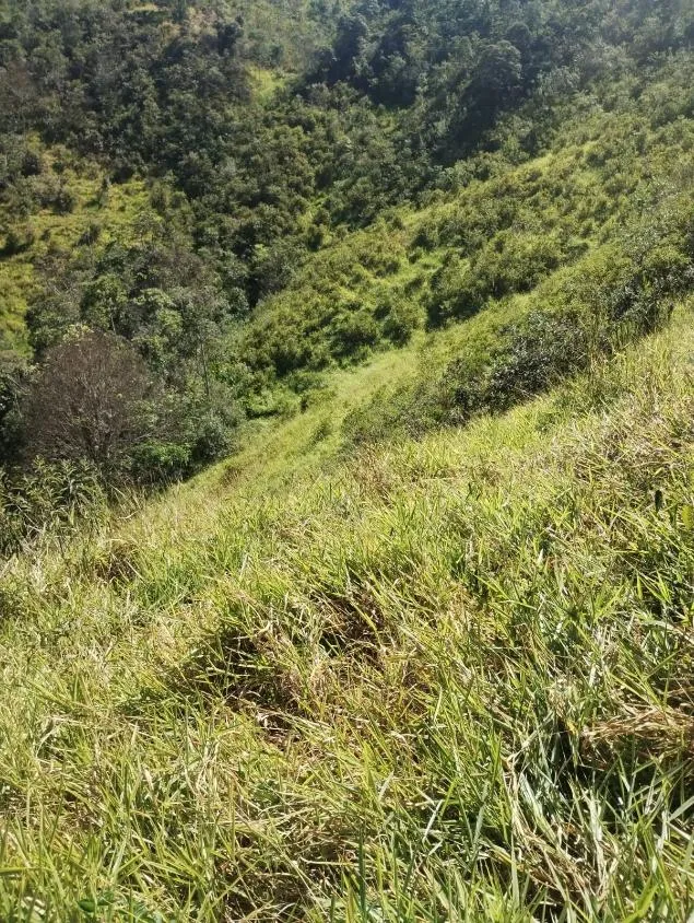 Imagem Excelente Terreno à Venda em Piranga/MG: 36 Hectares com Rica Infraestrutura