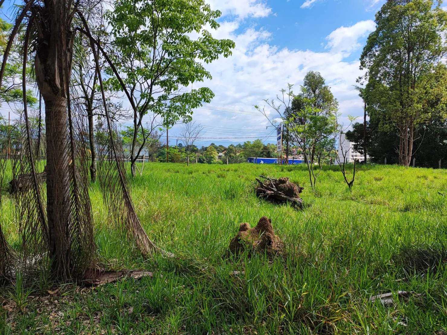 Foto do imóvel Chácara à venda 2 Quartos, 37000M², Figueira, Guaratinguetá - SP