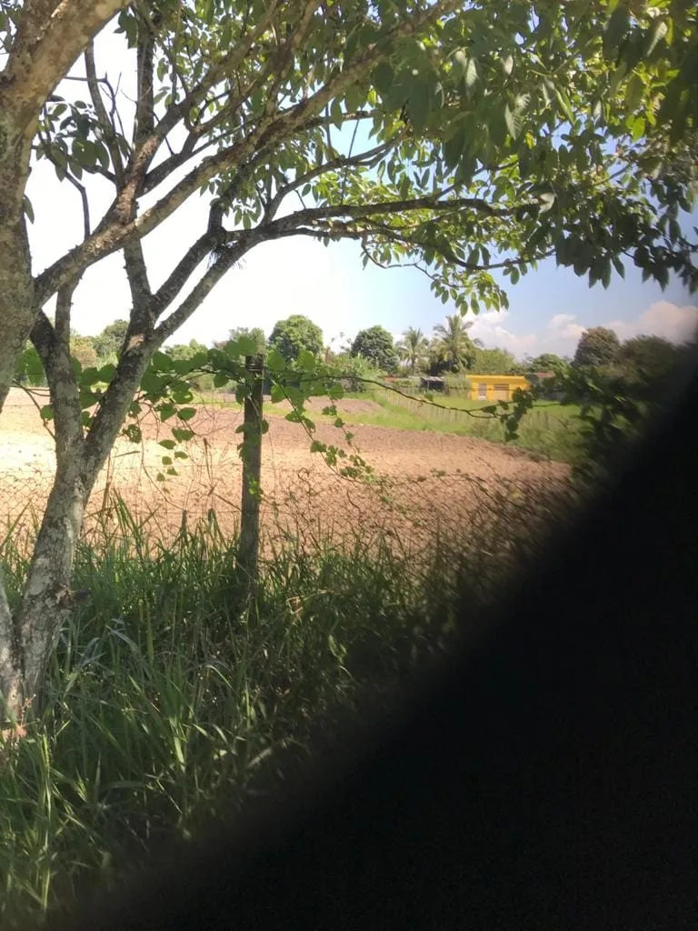 Imagem Terreno à venda 2000M², Pedro Leme, Roseira - SP
